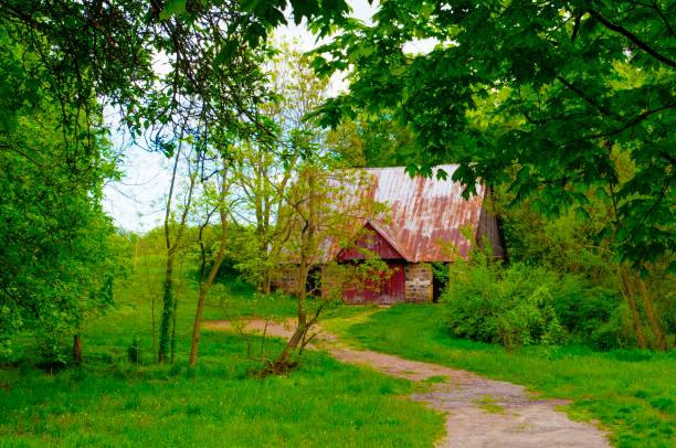 istock Barn-Old Barn -Deserted Farm-Hamilton County Indiana 1347775785