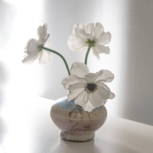 istock Beautiful Backlit flowers-Still life-Indiana 1347775870