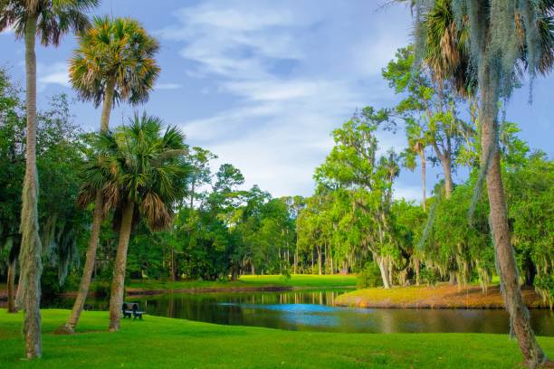 istock Lagoon View-Hilton Head Island,SC 1347776544