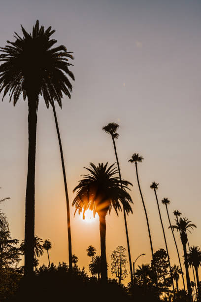 istock California background in sunset 1347782105