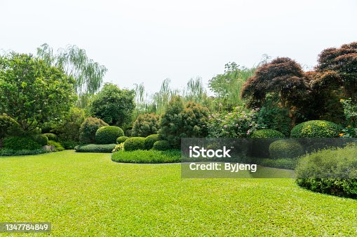 istock Scenic View of a Beautiful Landscape Garden with a Green Mowed Lawn 1347784849