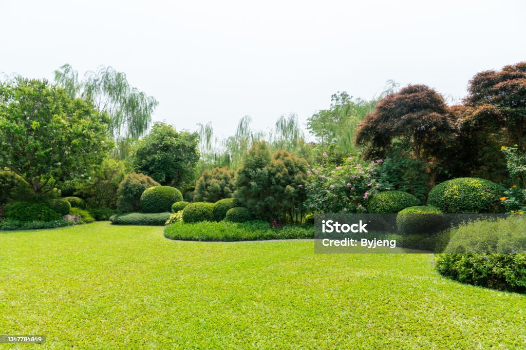 Scenic View of a Beautiful Landscape Garden with a Green Mowed Lawn Front or Back Yard, Lawn, Mowing, Formal Garden, House Yard - Grounds Stock Photo