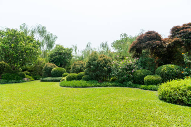 malowniczy widok na piękny ogród krajobrazowy z zielonym koszonym trawnikiem - gardening zdjęcia i obrazy z banku zdjęć