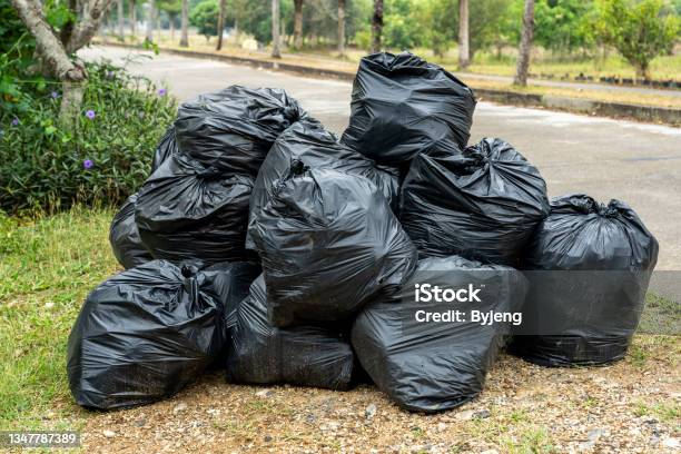 Black Garbage Bags On The Road With Green Grass And Plants Background Stock Photo - Download Image Now