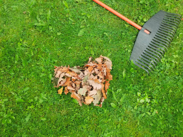 istock Fall leaves with rake on green lawn. 1347788215