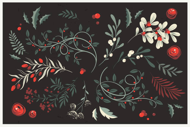 ilustrações de stock, clip art, desenhos animados e ícones de winter foliage. vector set of christmas plants. - mistletoe