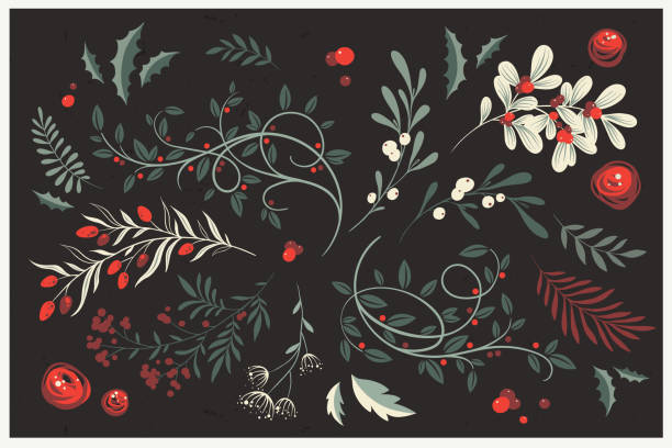 зимняя листва. векторный набор новогодних растений. - mistletoe stock illustrations