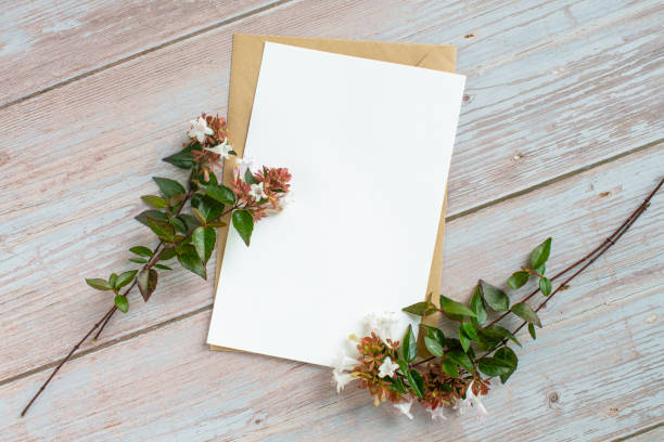 istock Plant background and card Mock-up 1347791110
