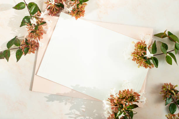 istock Plant background and card Mock-up 1347791131
