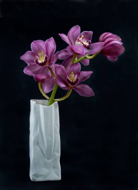 istock Pretty pink Cymbidium Orchid in a Vase on black. 1347792952
