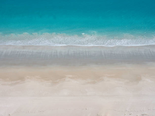 istock Aerial view of sandy beach and ocean with waves 1347794908
