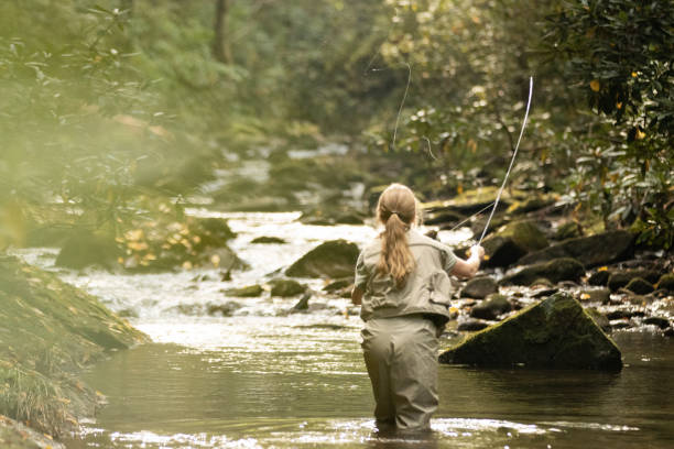 Fly Fishing the Green River Headwaters Laurinda Schenck fly fishes the cold October waters of the Green River in North Carolina. fly fishing stock pictures, royalty-free photos & images