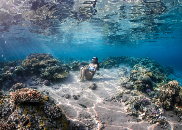 Freediver sitting in the sandy patch between the Coral Reef of the Red Sea Japanese Underwater model sitting in the sand between coral reef formations in the Red Sea of Egypt while holding her breath dahab photos stock pictures, royalty-free photos & images