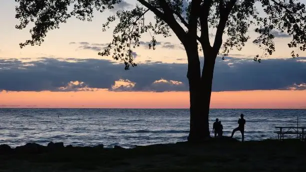 A couple in a photo shoot in silhouette with tree trunk. Very last light of dusk sets a romantic mood.