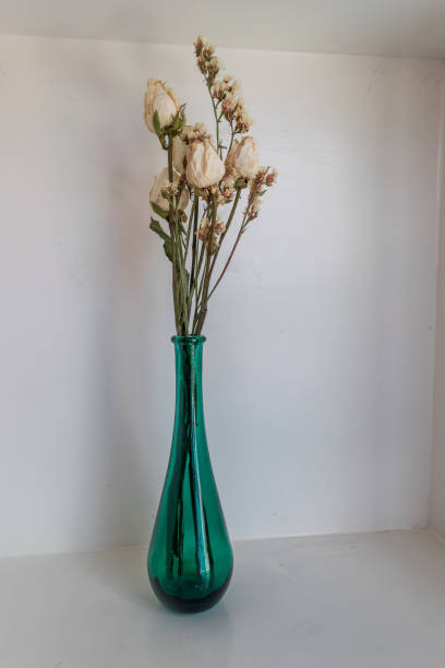 istock White dried roses bouquet in a vase 1347801867