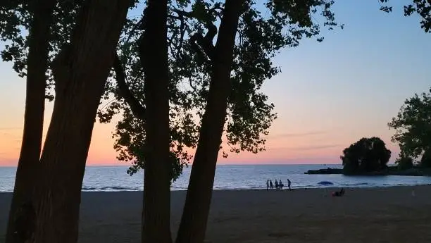 Distant silhouette of small group with tree silhouette in foreground and background. Very soft sunset on lake. Beach and water view.