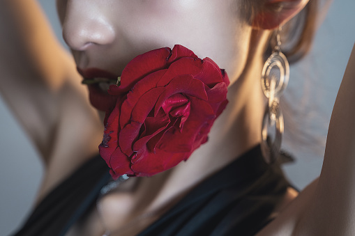 Beautiful, stylish women and a rose
