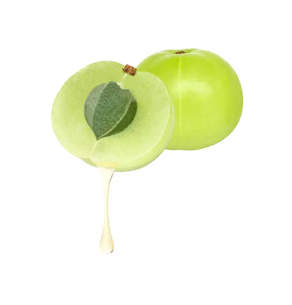 Indian gooseberry oill drop dripping from fruits (phyllanthus emblica, Amla) isolated on white background.