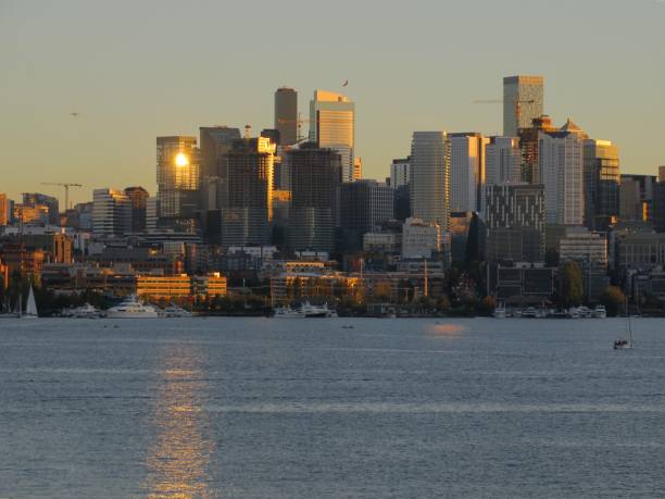istock Seattle Skyline and Lake Union 1347810739