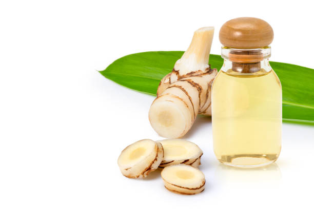 istock Galangal oil 1347811812