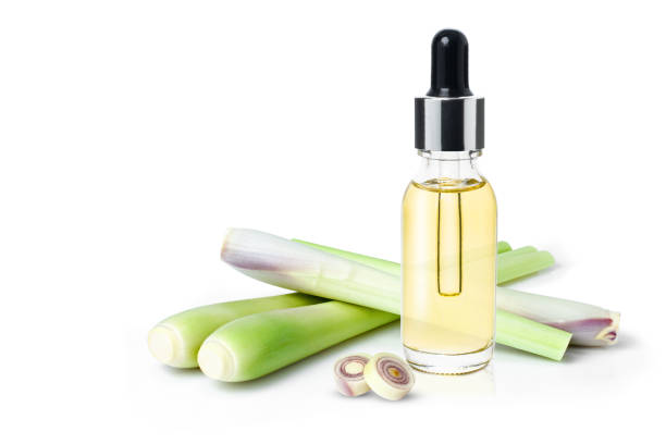 Lemongrass essential oil isolated