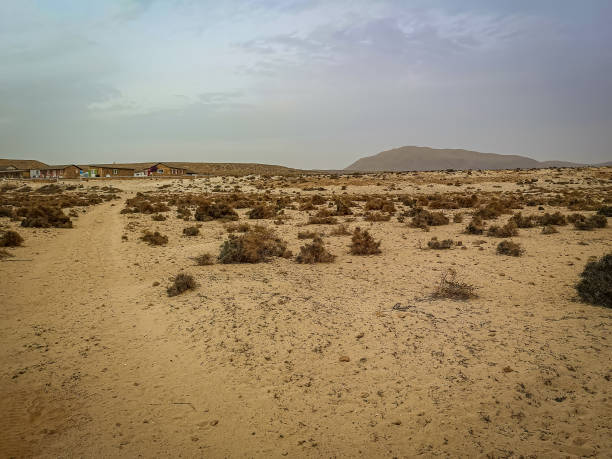 istock Desert road to an old village 1347814096