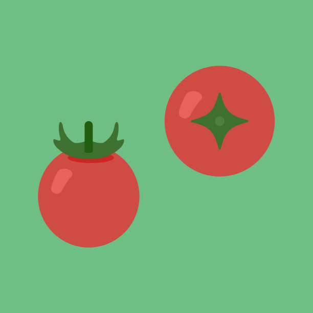ilustrações, clipart, desenhos animados e ícones de clip art of cherry tomato - cherry tomato tomato white background vegetable