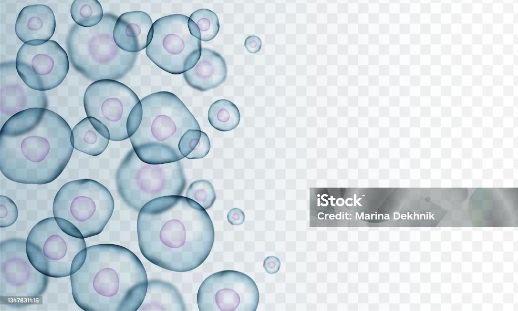 Bakterien - Lizenzfrei Zelle Vektorgrafik Bakterien - Lizenzfrei Zelle Vektorgrafik