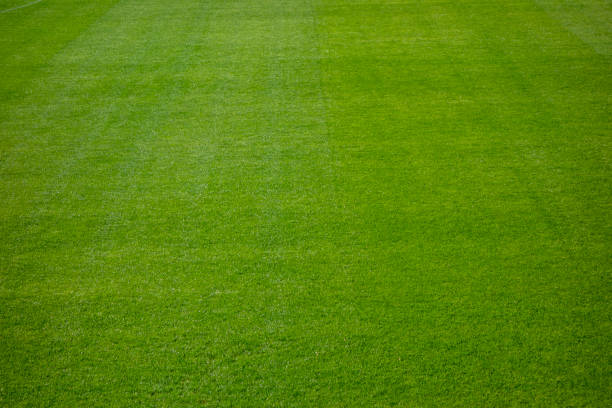 istock Football field grass 1347832794