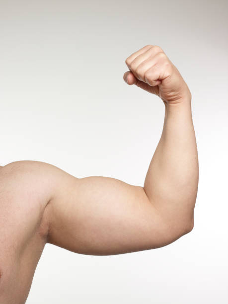 istock Strong male arm shows biceps 1347832818