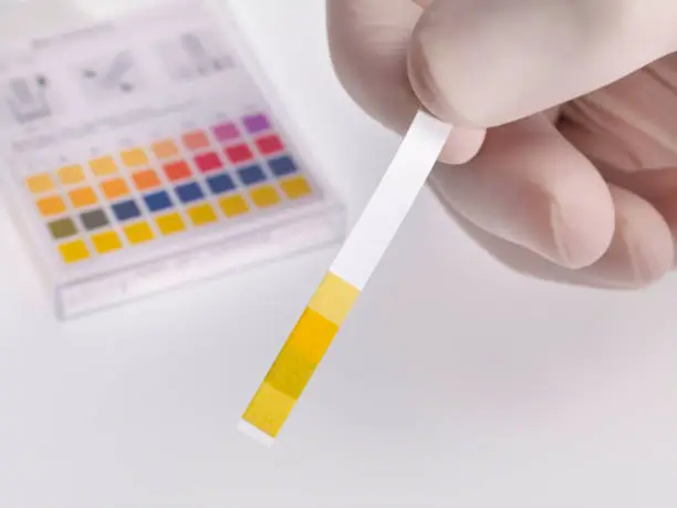 Photo of Hand holding pH indicator comparing color to scale