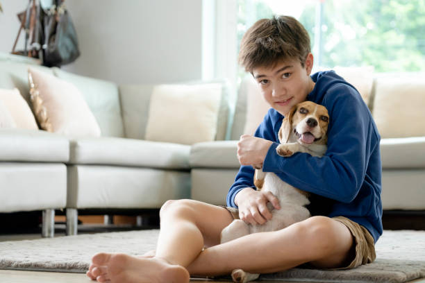 istock Child Playing With His Pet Dog At Home 1347837210