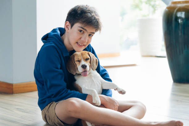 istock Child Playing With His Pet Dog At Home 1347837213