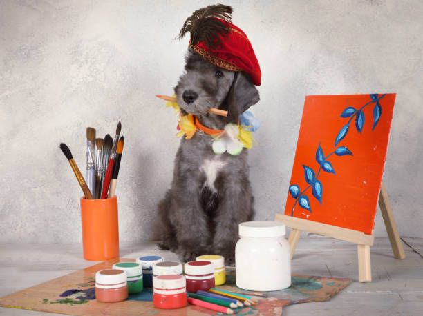 istock Puppy Bedlington artist in a creative studio 1347841621
