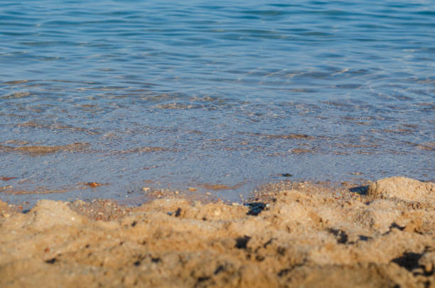 Sea shore at the beach with wave