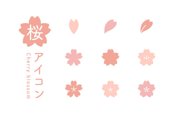 eine reihe einfacher kirschblütensymbole. - blütenblatt stock-grafiken, -clipart, -cartoons und -symbole