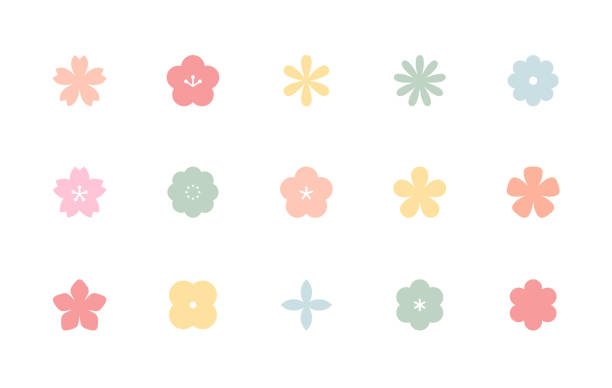 シンプルな花のアイコンのセット - daisy multi colored flower bed flower点のイラスト素材／ク��リップアート素材／マンガ素材／アイコン素材
