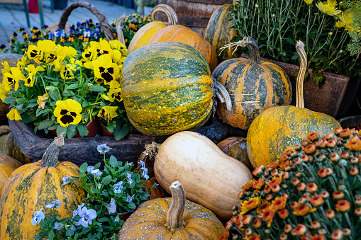 a market stall with beautiful pumpkins and gourds and lanterns and wreaths in a flower garden in summer at a pumpkin festival
