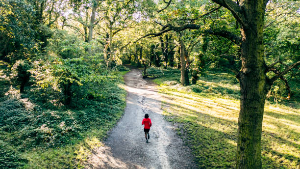 Full length rear view from drone perspective of sportsman in workout attire exercising on footpath in lush tree area.