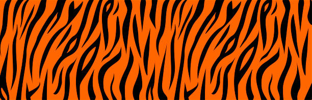 stockillustraties, clipart, cartoons en iconen met tiger animal orange and black print - tiger