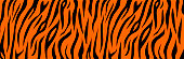 istock Tiger animal orange and black print 1347849894