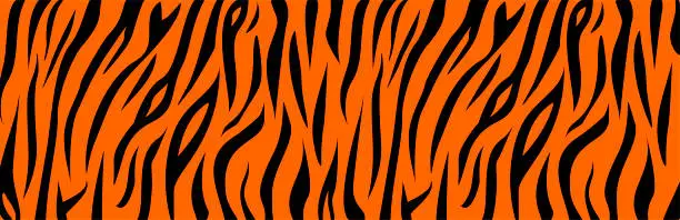 Vector illustration of Tiger animal orange and black print