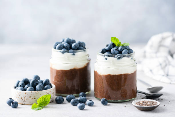 chia seed pudding with cocoa and yogurt - yoghurt chocolate bowl bildbanksfoton och bilder