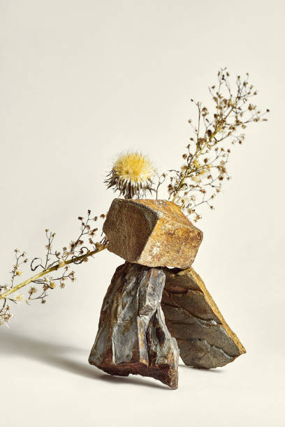 istock Stone and dry flower for displaying cosmetics. Abstract composition of natural textures with stones and dry branches on a neutral background. Mock up 1347851094