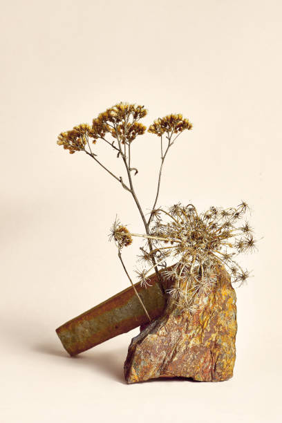 istock Stone and dry flower for displaying cosmetics. Abstract composition of natural textures with stones and dry branches on a neutral background. Mock up 1347851095