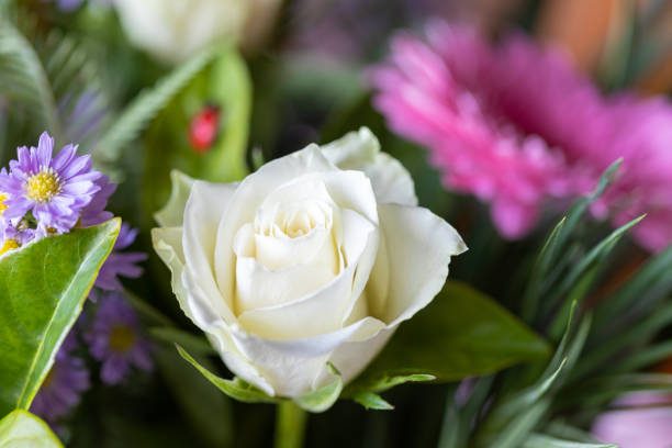 istock Close up of flower bouquet 1347852381
