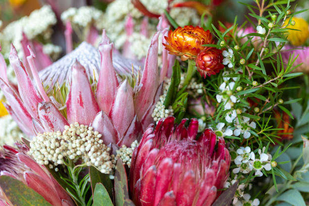 istock Close up of flower bouquet 1347852382