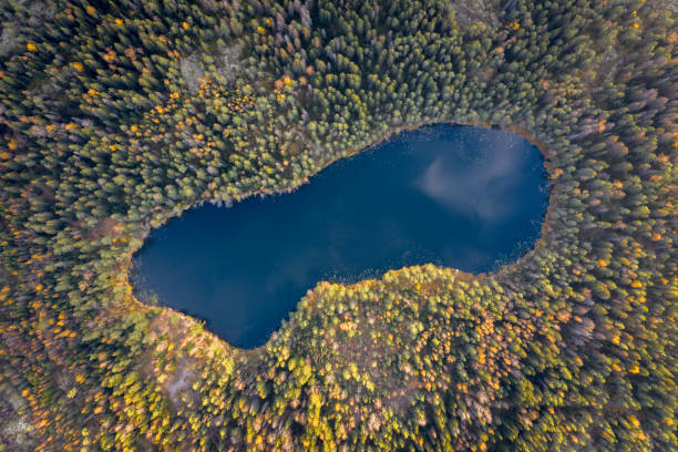 istock Beautiful lake in the autumn forest top view. 1347852666