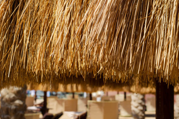 Thatched umbrellas on the sea beach