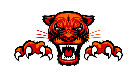 Angry Panther head and paws with claws. Vector logo template on transparent background